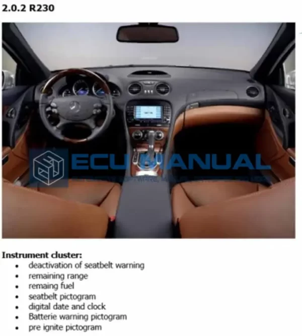 DTS-Monaco-and-Vediamo-manual-ECU-Manual