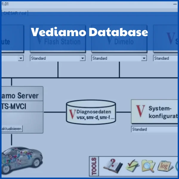 Vediamo-Database-ECU-Manual